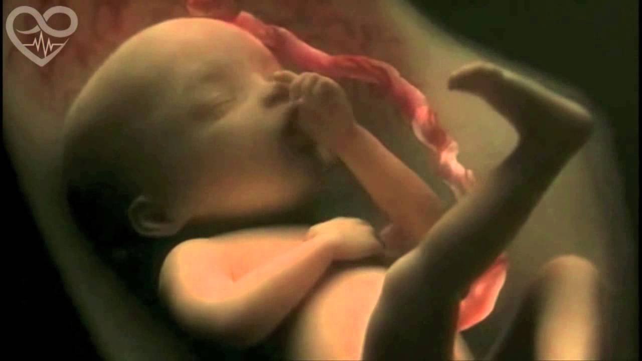 Un embarazo de 9 meses en 4 minutos Un embarazo de 9 meses en 4 minutos