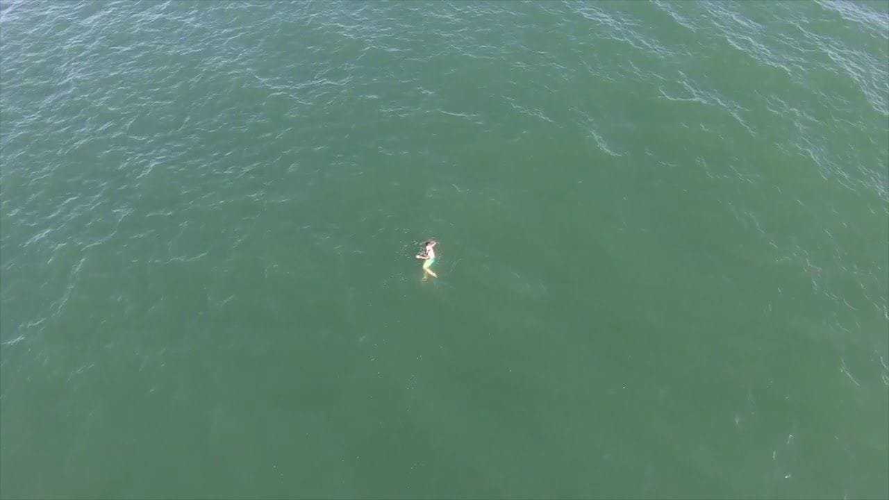 Se escapa de la policía tirandose al mar y se cruza con un tiburón