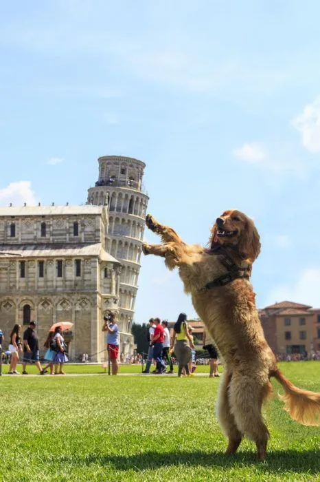 las 10 fotos mas creativas junto a la Torre de Pisa Taringa.com