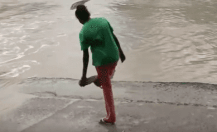 gjghjgjghj Mujer se enfrenta a un cocodrilo con su chancla