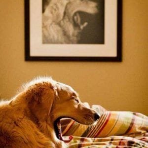 15 FOTOGRAFÍAS TOMADAS EN EL MOMENTO EXACTO 15 FOTOGRAFÍAS TOMADAS EN EL MOMENTO EXACTO