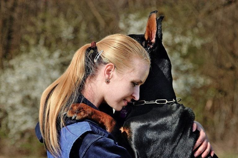 Los perros odian que los abrazen