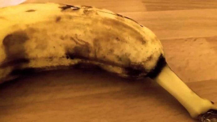 Una araña saliendo del interior de un plátano