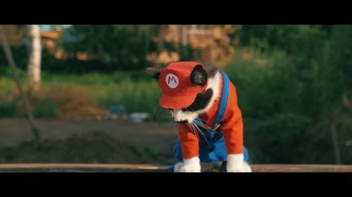 Super Mario Cat y Luigi  se disponen a salvar a la princesa
