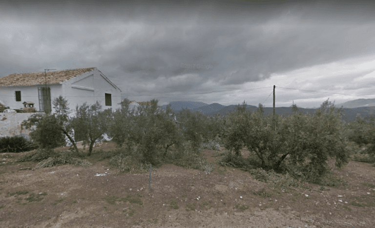 Sulfatar olivos ¿es bueno o malo?