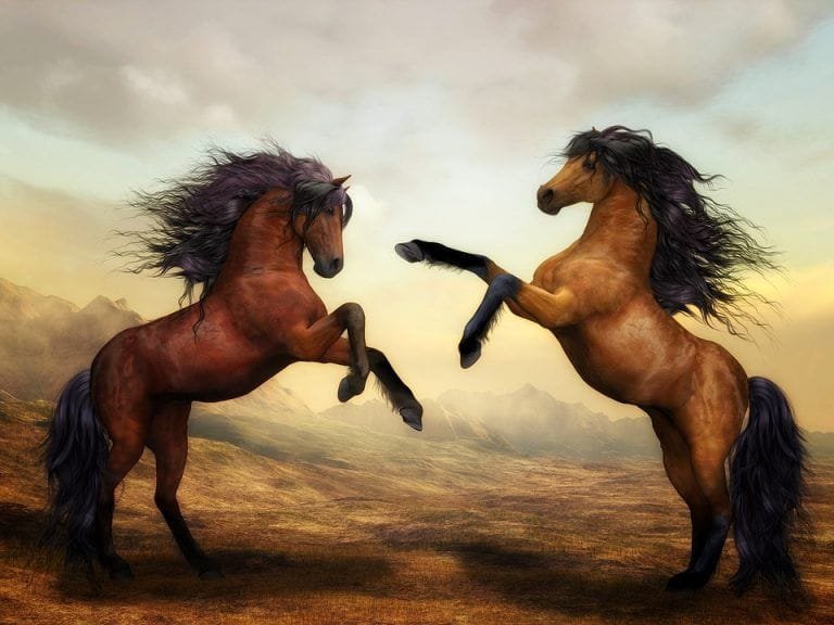 ¿Cuántos cromosomas tiene un caballo?