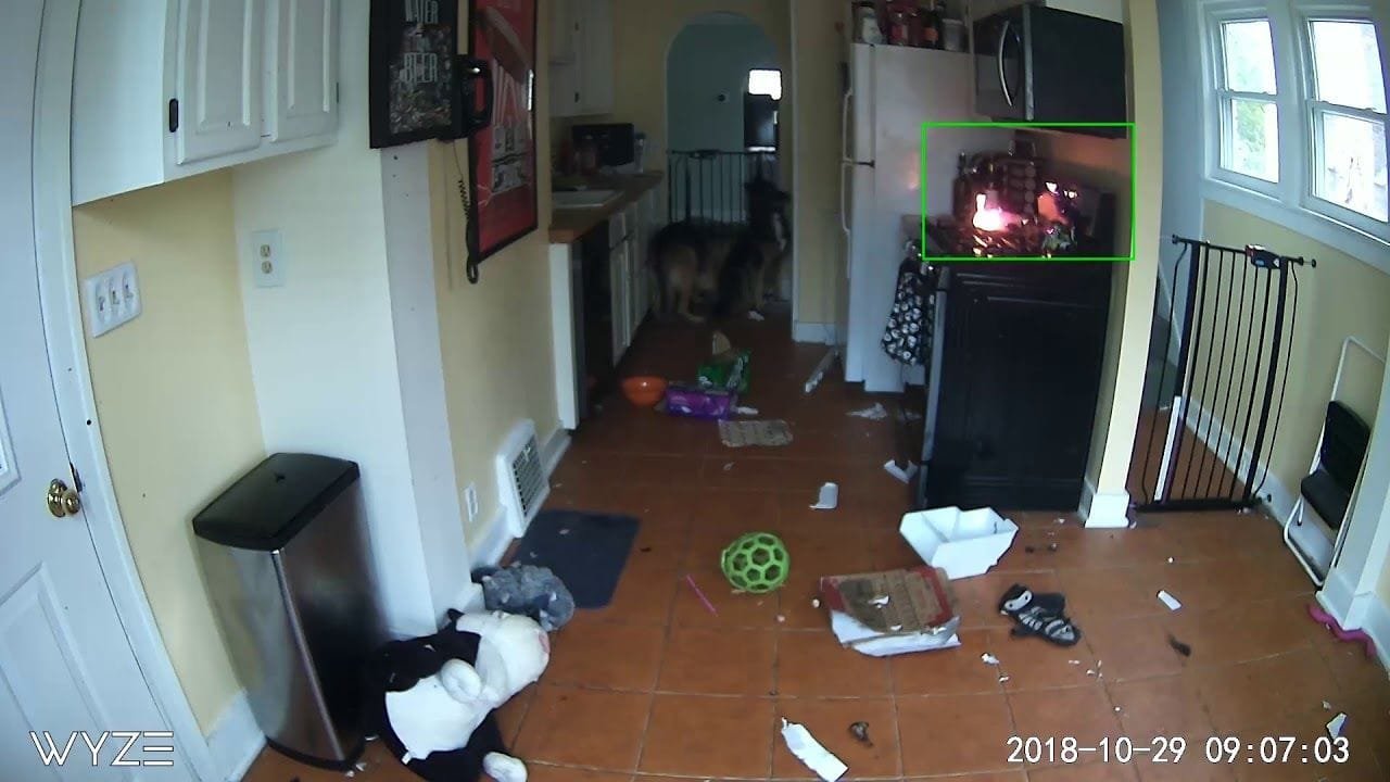 Un perro esta apunto de incendiar su casa