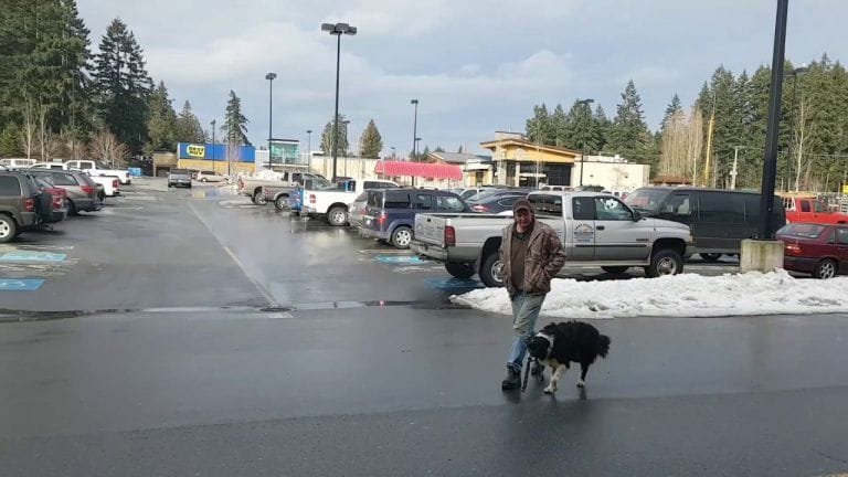 Hali el perrito que paga su propia comida en el supermercado