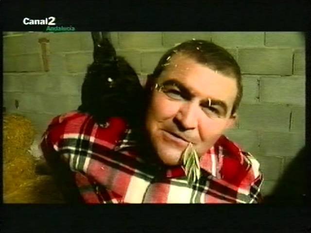 El Koala de Gran hermano - Opa Yo Viaze Un Corra