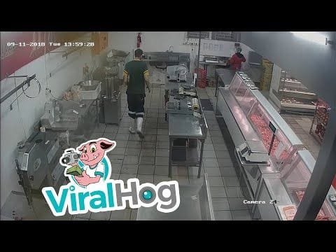 Dos gatos dan un buen susto a una trabajadora