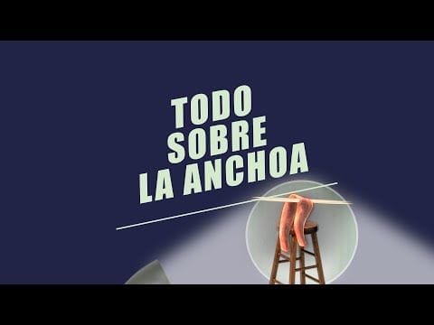 EL COMIDISTA | Qué hay que saber para distinguir las buenas anchoas