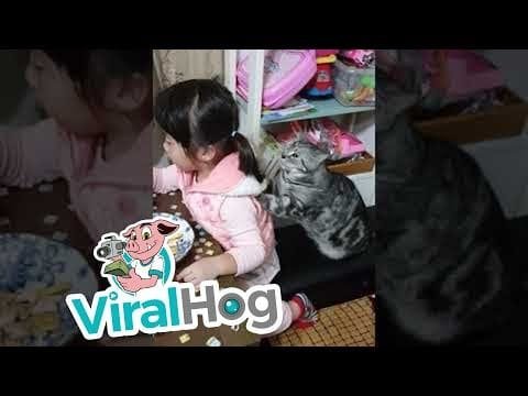 El masaje del gatito es el mejor masaje