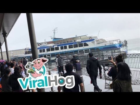Ferry Crashes into Pier