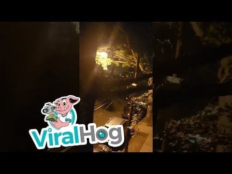 Hombre sospechoso tira carro de ruedas