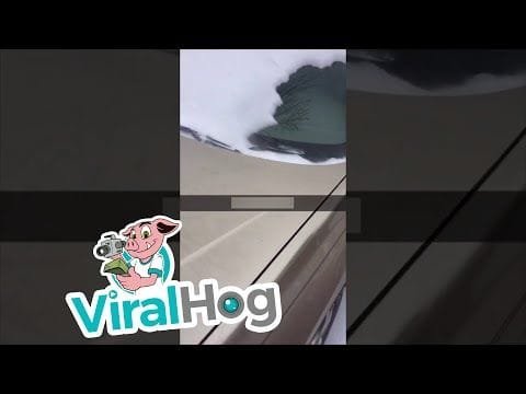 Leaf Blower Snow Removal Hack || ViralHog