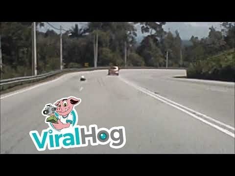 Overtaken by a Street Luge Rider || ViralHog