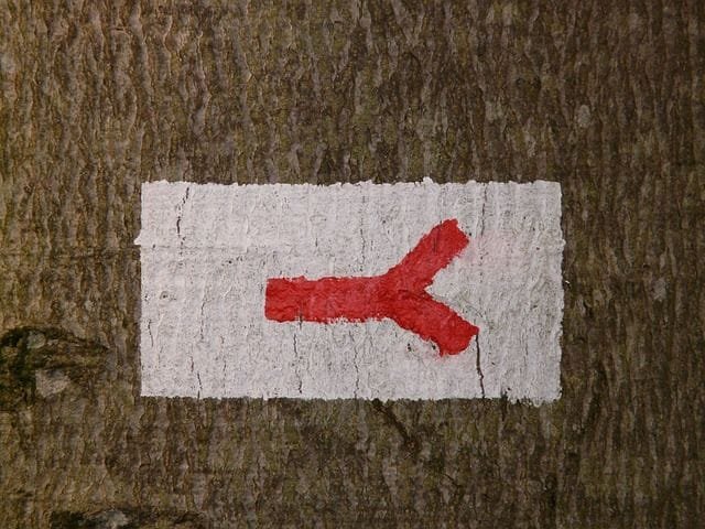 10 Nombres y apellidos graciosos con doble sentido