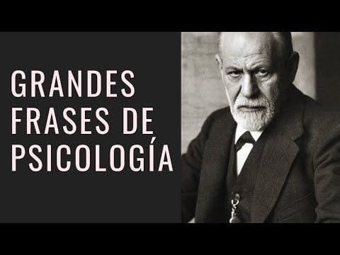 31-bonitas-frases-de-psicologia-para-reflexionar-f09fa7a0 31 Bonitas Frases de Psicología para Reflexionar ????