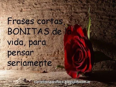 frases-cortas-bonitas-de-la-vida-para-pensar-seriamente Frases cortas, BONITAS de la vida, para pensar seriamente
