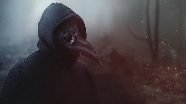 ¿Cómo era la vida durante la peste negra?