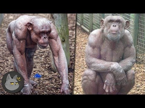 10 Cosas Que Verás Por Primera Vez En Tu Vida