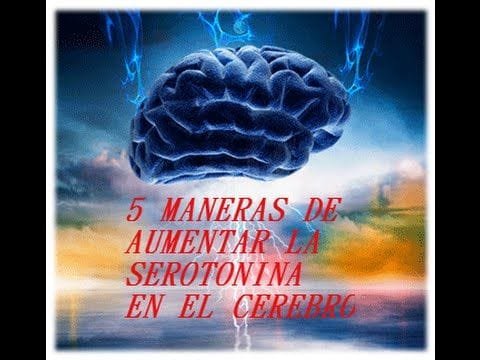 Las 5 MANERAS DE AUMENTAR LA SEROTONINA EN EL CEREBRO