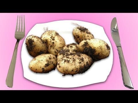 las-5-maneras-mas-ricas-de-preparar-papas Las 5 maneras más ricas de preparar papas