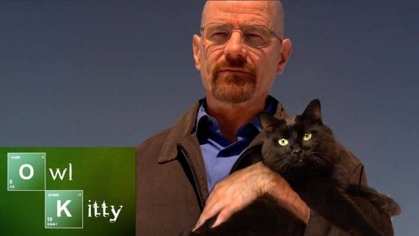 Si Walter White hubiera tenido un gato