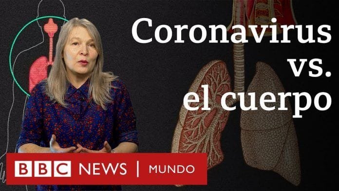 ¿Qué le hace el coronavirus al cuerpo?