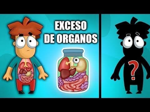 Esto ocurre si elimnas de tu cuerpo estos 5 organos