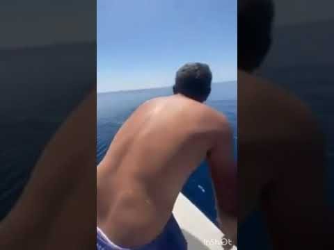 Un hombre saudí salta al Mar Rojo para montar a lomos de un tiburón