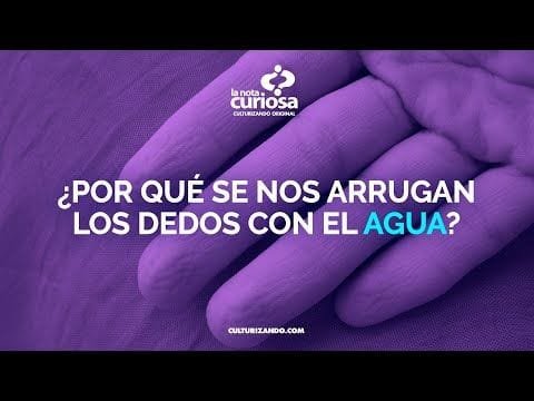 ¿Cuál es la razón por la que se nos arrugan los dedos de las manos con el agua?