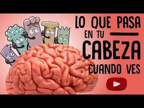 Esto pasa en tu cabeza cuando ves un vídeo de youtube