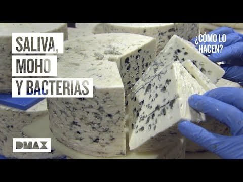 No volverás a comer estos platos después de ver el vído