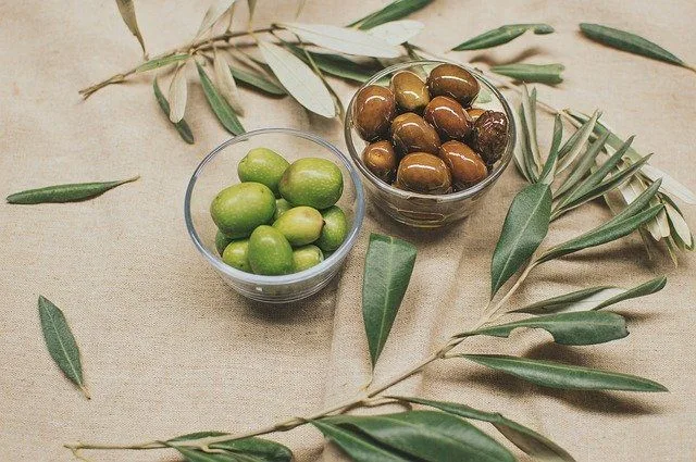olives-g6c39ba369_640 Frases célebres sobre el aceite de oliva
