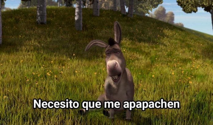 Necesito que me apapachen