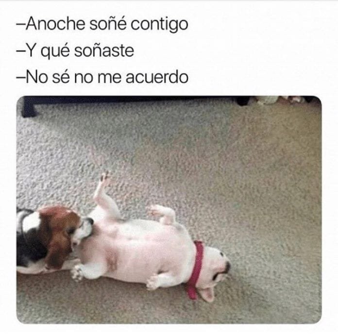 Anoche soñé contigo. Y qué soñaste. No sé no me acuerdo.