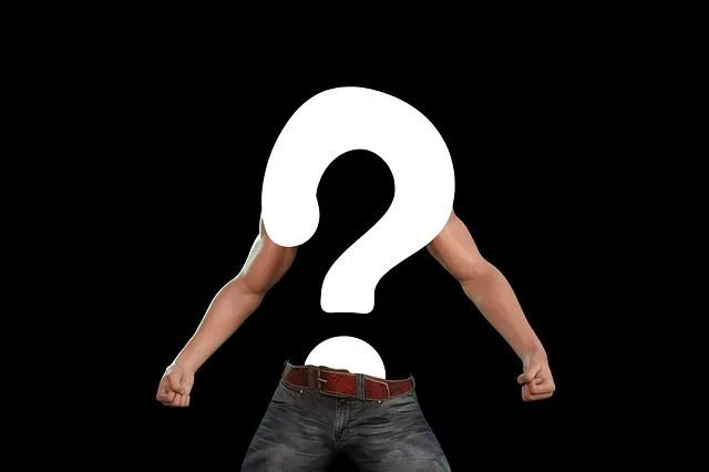 question-mark-gbe54dad5b_640 ¿Quién es Ethan LaRoche?