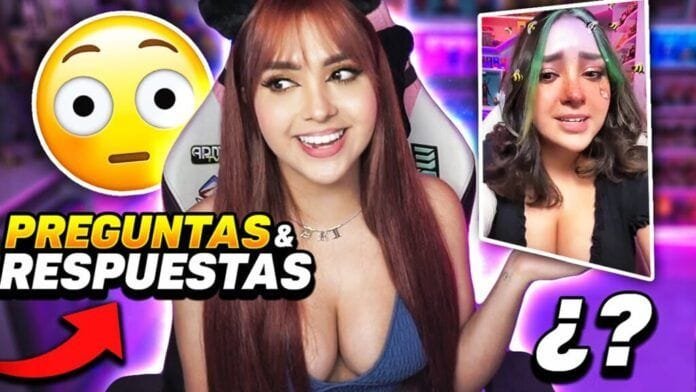 42655 AriGamePlays la gameplayer de más éxito
