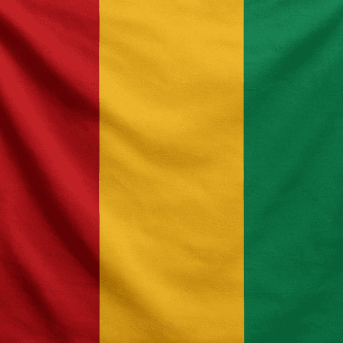 Serhou Guirassy Serhou Guirassy