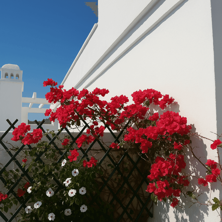 Buganvilla: una planta colorida, resistente y perfecta para tu jardín