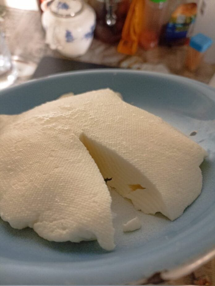 queso panela queso panela