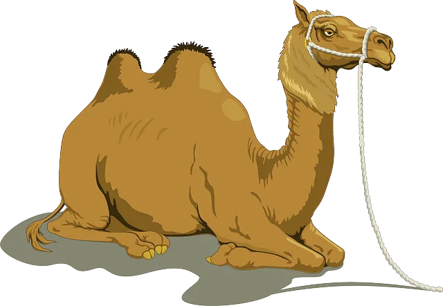 ¿Qué es el humping?