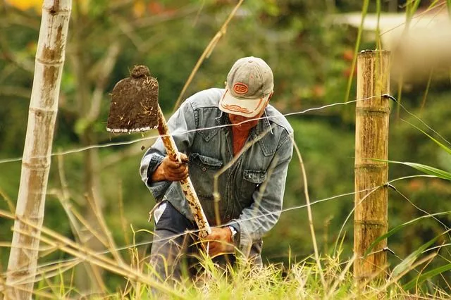 farmers-2517476_640 Piropos callejeros colombianos: ingenio, picardía y sabor local en cada frase