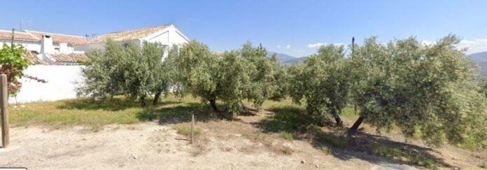 Cada mochuelo a su olivo