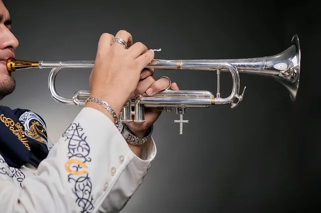 rimas groseras para mariachis rimas groseras para mariachis