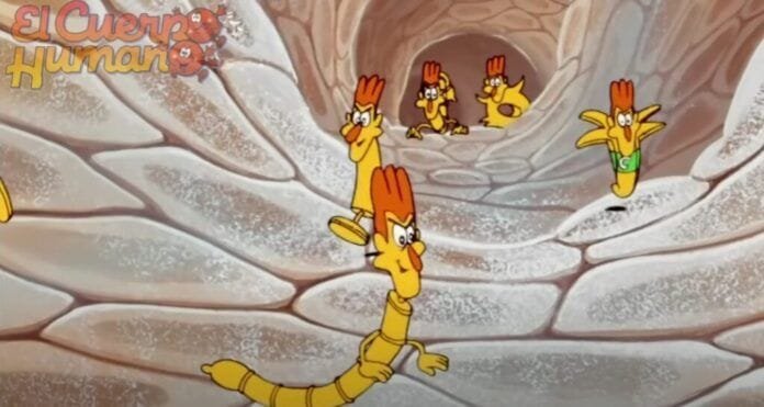 virus erase una vez el cuerpo humano