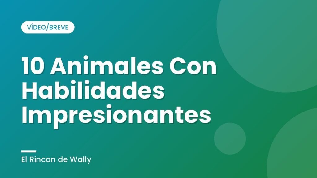 10 Animales Con Habilidades Impresionantes