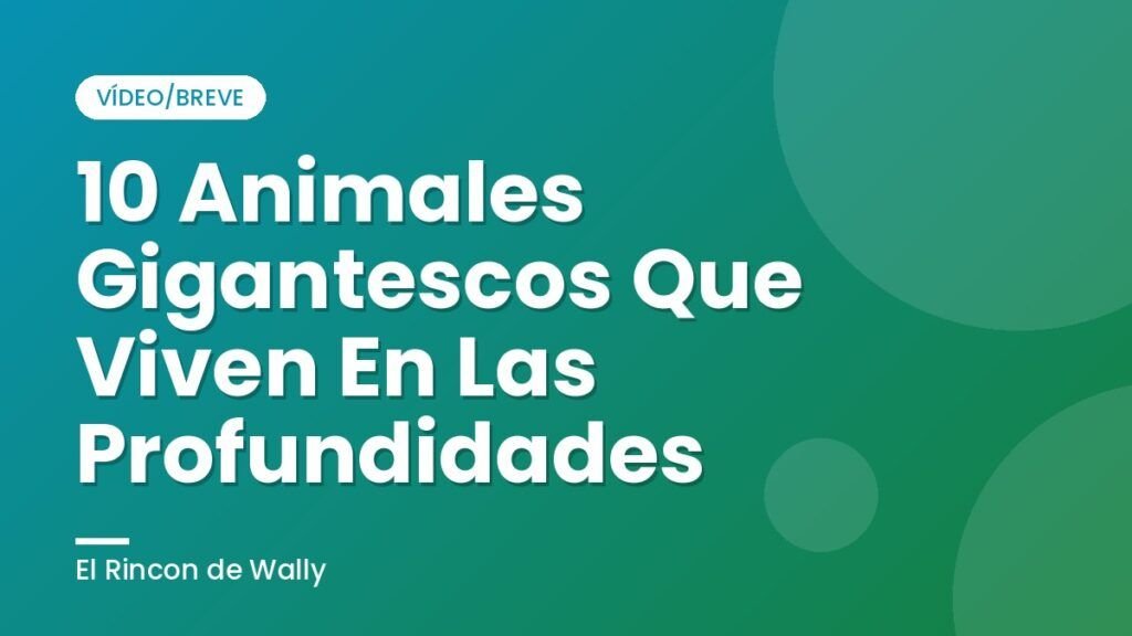 10 Animales Gigantescos Que Viven En Las Profundidades