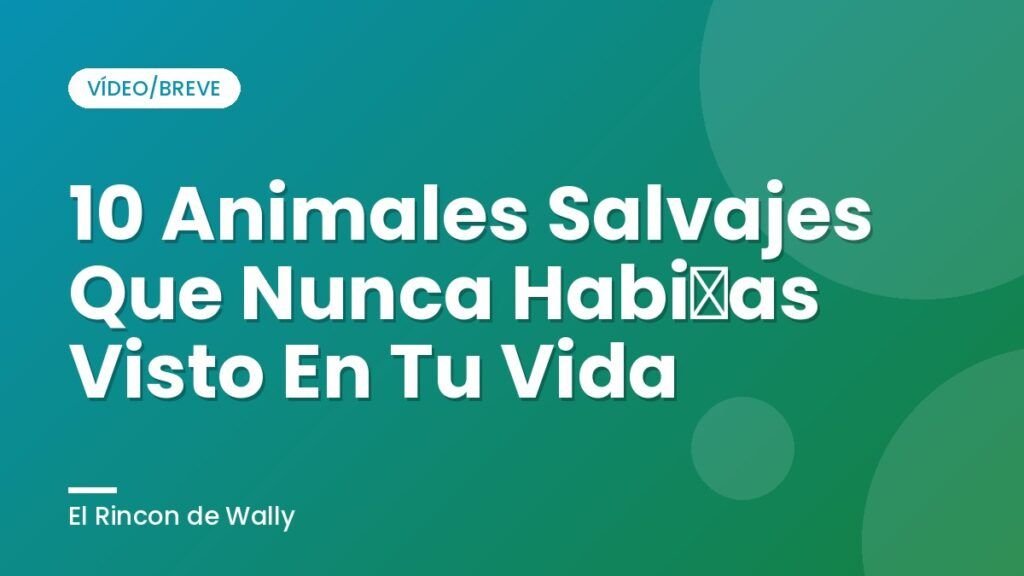 10 Animales Salvajes Que Nunca Habías Visto En Tu Vida